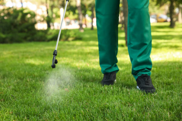 Best Affordable Pest Control Services  in Brazoria, TX