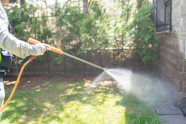 Best Affordable Pest Control Services  in Brazoria, TX